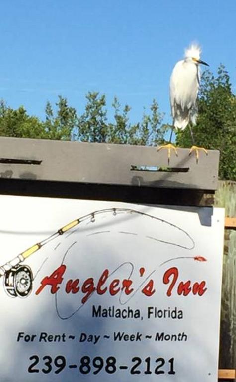 Angler'S Inn Matlacha Exterior foto